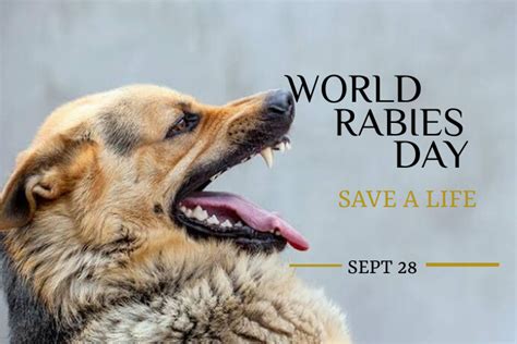 world rabies day poster Template | PosterMyWall