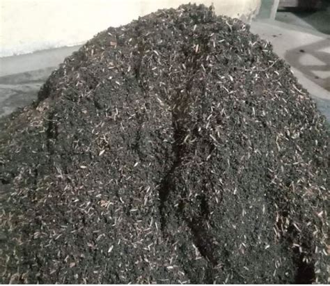 Premium Loam Soil 9-10kg by Ivy Rose Garden, Furniture & Home Living ...