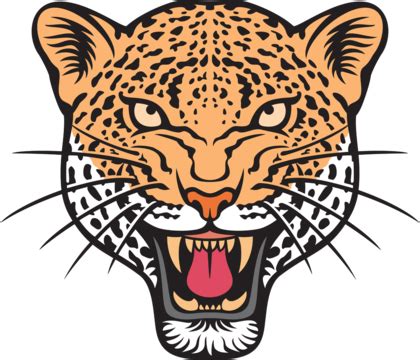 Ilustración De Vector De Color De Cara De Leopardo PNG , Paño, Enojado, Furry PNG y Vector para ...