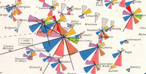 Rose diagram florence nightingale - intellivsera