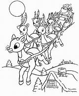 Reindeer  Coloring Pages For Kids And Adults Home sketch template