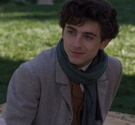 Timothee Chalamet as Laurie in Little Women