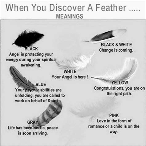 Feather Chart with meaning of different color feathers | Spirituality ...