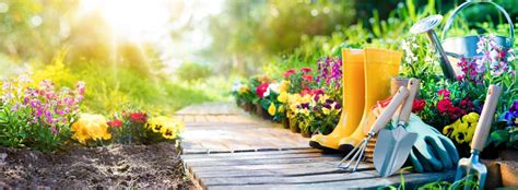 4 Important Garden Maintenance Tips for Beginner Gardeners