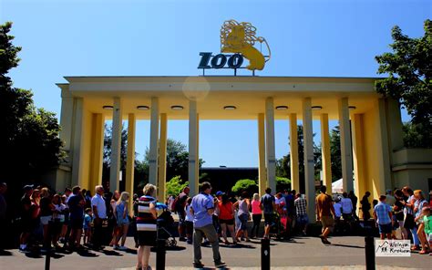 ZOO we Wrocławiu - Najstarszy Ogród Zoologiczny w Polsce