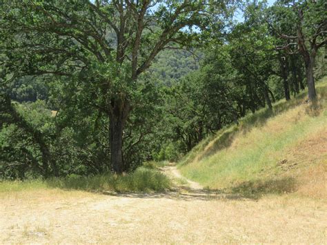 Even More of San Ramon Valley Regional Park by SAMGUTHRIEWRITER on DeviantArt