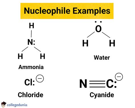 Electrophile: Definition, Types & Examples