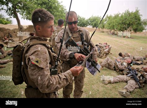 US Marines with the 1st Battalion, 7th Marine Regiment, consult a map Stock Photo: 69728479 - Alamy