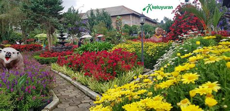 Taman Begonia Lembang, Taman Indah dengan Beragam Bunga