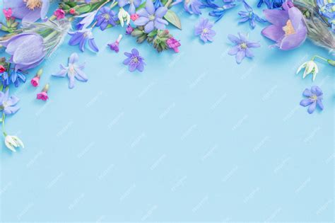 Premium Photo | Spring flowers on blue background