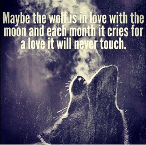 Wolf Quotes. QuotesGram | Wolf quotes, Indian quotes, Wolf love