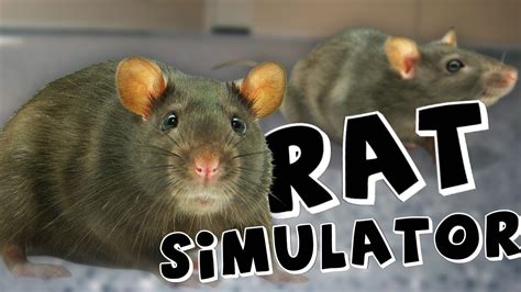 THE ULTIMATE RAT SIMULATOR #1 - YouTube