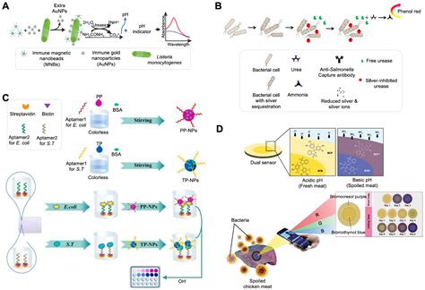 Biosensors | Free Full-Text | Colorimetric Systems for the Detection of ...