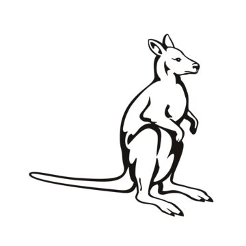 Wallaby Vector Art HD Images | Free Download on Pngtree