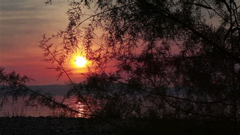 sunset sea galilee tree Stock Footage Video (100% Royalty-free) 27437581 | Shutterstock