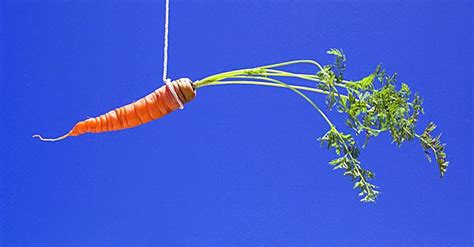 Hispanic evangelicals dangle 'amnesty' carrot for 2016 - WND