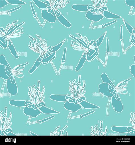 Light Blue Floral Pattern Design Stock Vector Image & Art - Alamy