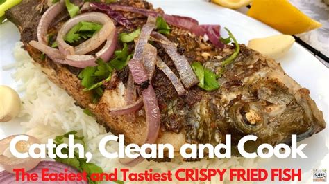 CATCH, CLEAN, AND COOK THE EASIEST AND TASTIEST CRISPY FRIED SCUP FISH, PAN FRY FISH - YouTube