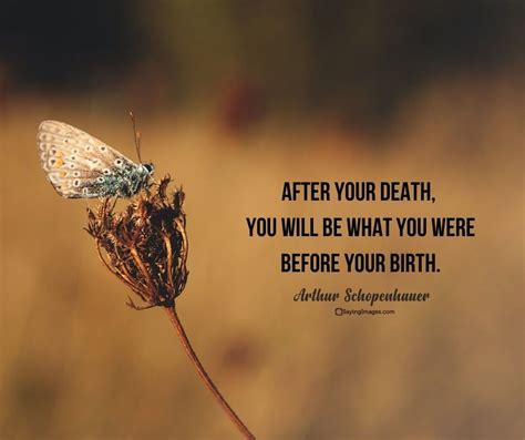 30 Afterlife Quotes to Appreciate Life Here and Beyond | SayingImages ...