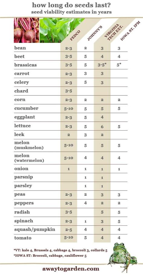 estimating viability: how long do seeds last? - A Way To Garden