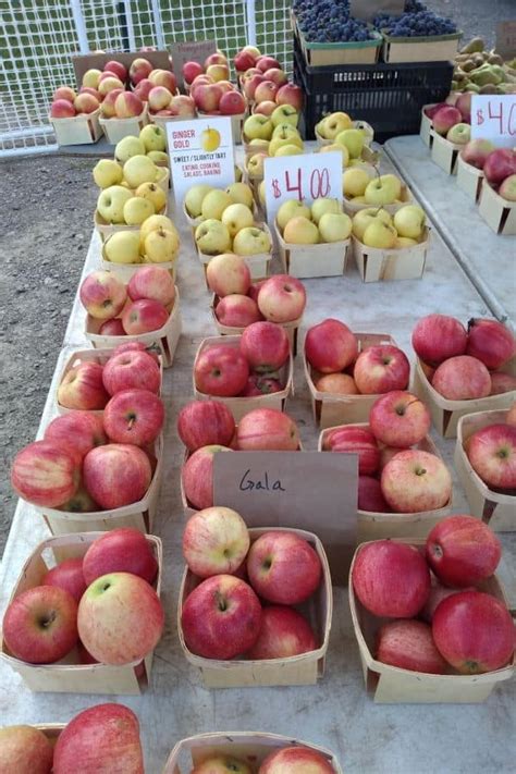 Where are Gala Apples Grown? - Eat Like No One Else