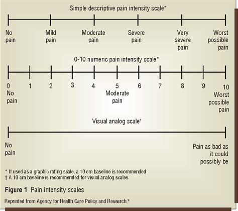 Figure 1 from Pain management in the critically ill. | Semantic Scholar