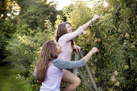 How to Get Pear and Apple Trees to Produce More Fruit | Martha Stewart