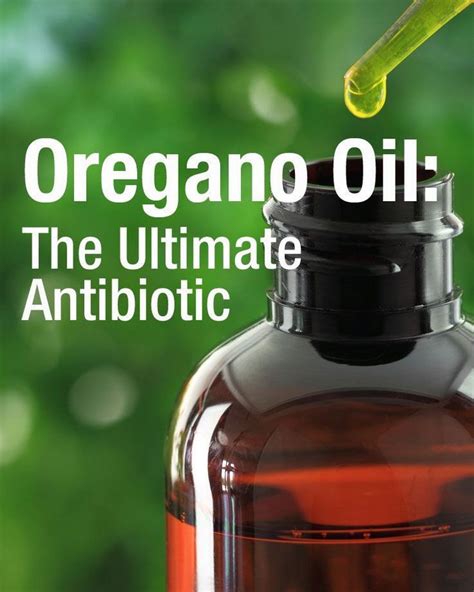 Oregano Oil: One Of Nature’s Ultimate Effective Antibiotics