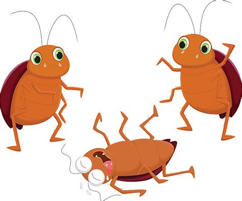 Dead Roach Illustrations, Royalty-Free Vector Graphics & Clip Art - iStock