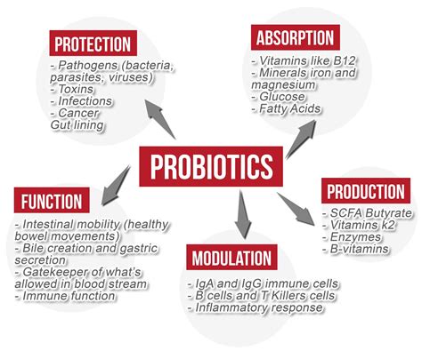 Fitness With A View - SC: Probiotics Part 1 - Benefits