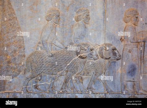 Bas-relief in the apadana palace staircase Stock Photo - Alamy