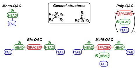 Quaternary Ammonium Compounds (QACs) and Ionic Liquids (ILs) as Biocides: From Simple ...