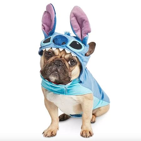 Halloween Costumes For Dogs & Babies That Just Couldn't Be Cuter