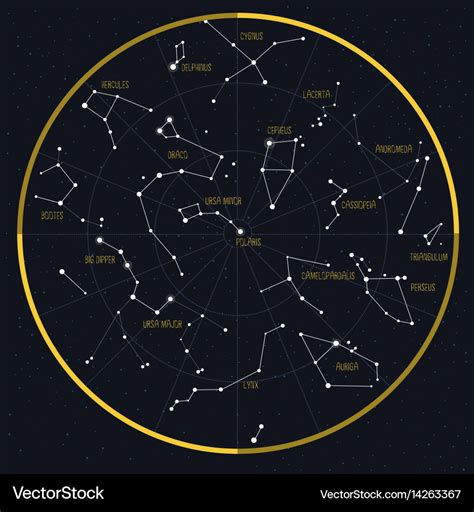 Night sky with constellations Royalty Free Vector Image