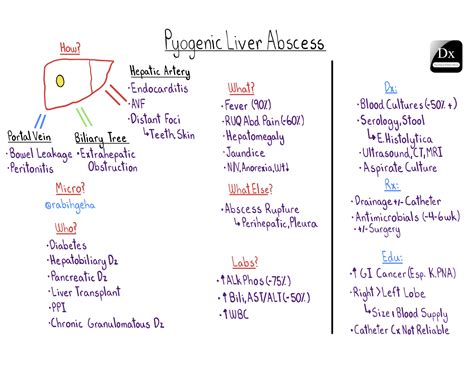 Pyogenic Liver Abscess – The Clinical Problem Solvers