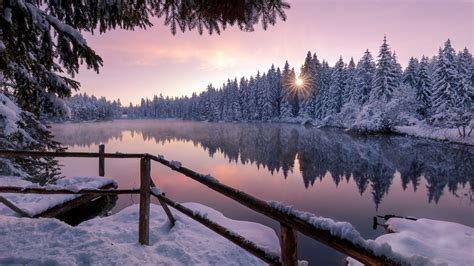 1366x768 Winter Snow Trees Nature Outdoors Laptop HD ,HD 4k Wallpapers ...