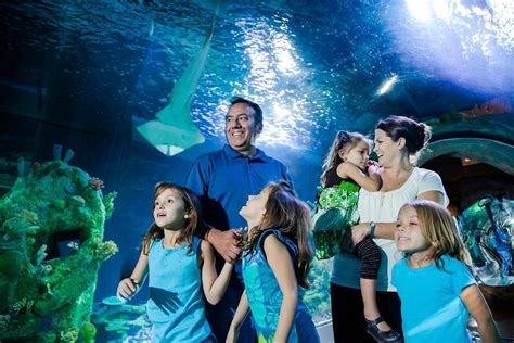 SEA LIFE Arizona Aquarium - All You Need to Know BEFORE You Go (2024)