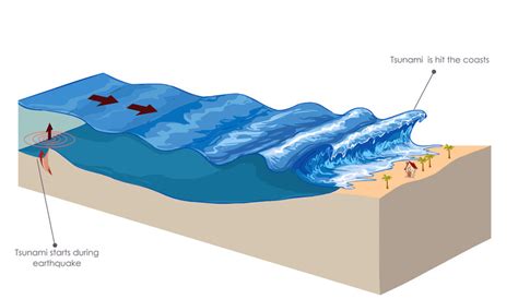 Why Indonesia’s tsunami was so deadly