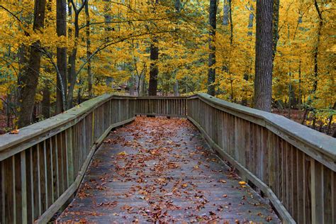 Newport News Park Bridge