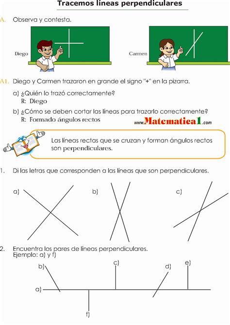 Lineas Paralelas Y Perpendiculares Para Niños De Primaria - Dubma