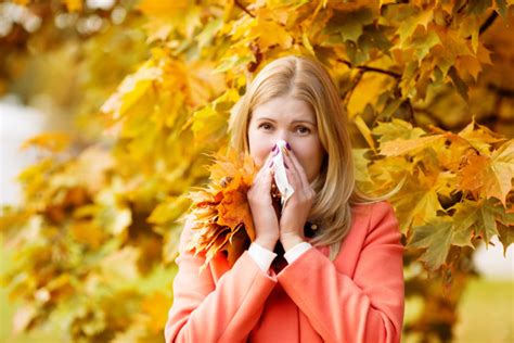 11 All-Natural Fall Allergy Remedies - Off The Grid News