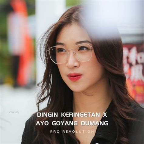 Stream Dingin Keringetan x Ayo Goyang Dumang (Remix) by Pro Revolution ...