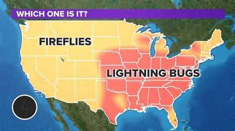 When is peak lightning bug and firefly season in the U.S ...