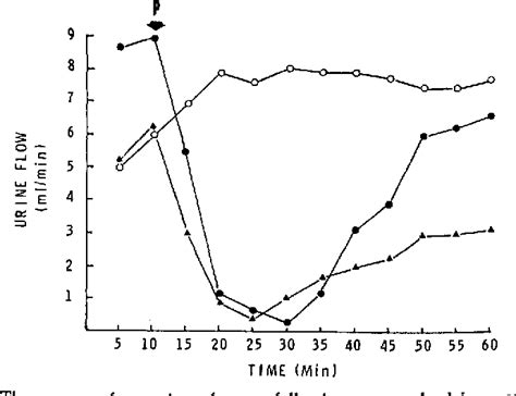 The Vascular Control of Diuresis and Antidiuresis | Semantic Scholar