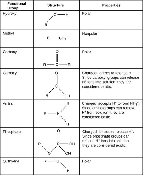 Functional Groups | Learning | Chemistry, Functional group, Biology