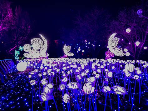 Philly Zoo LumiNature guide: Pics, showtimes, ticket prices - On top of Philly news