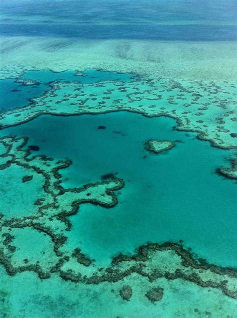 Aerial view of Heart Reef in Australia. A moment I'll never forget. | Aerial view, Aerial, Landscape