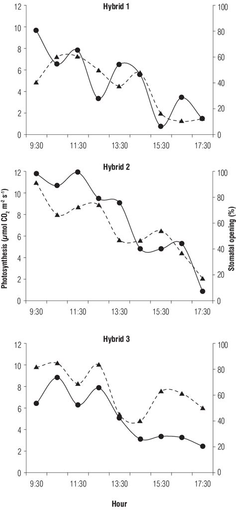 Relationship between the photosynthesis and stomatal openings in the ...