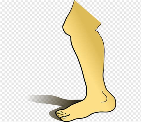 Human leg Human body, legs, foot, chicken Thighs, arm png | PNGWing