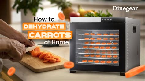 How to Dehydrate Carrots at Home | The Ultimate Guide - Dinegear